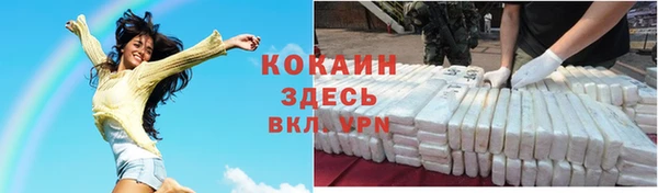 меф Вяземский